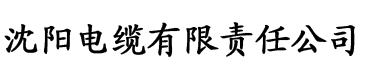 理论片动漫在线电缆厂logo